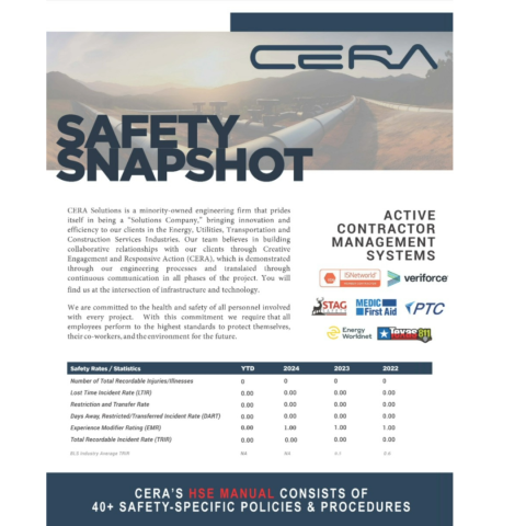 Safety Snapshot
