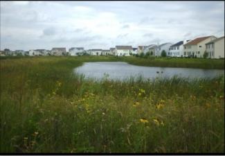 Detention Basin